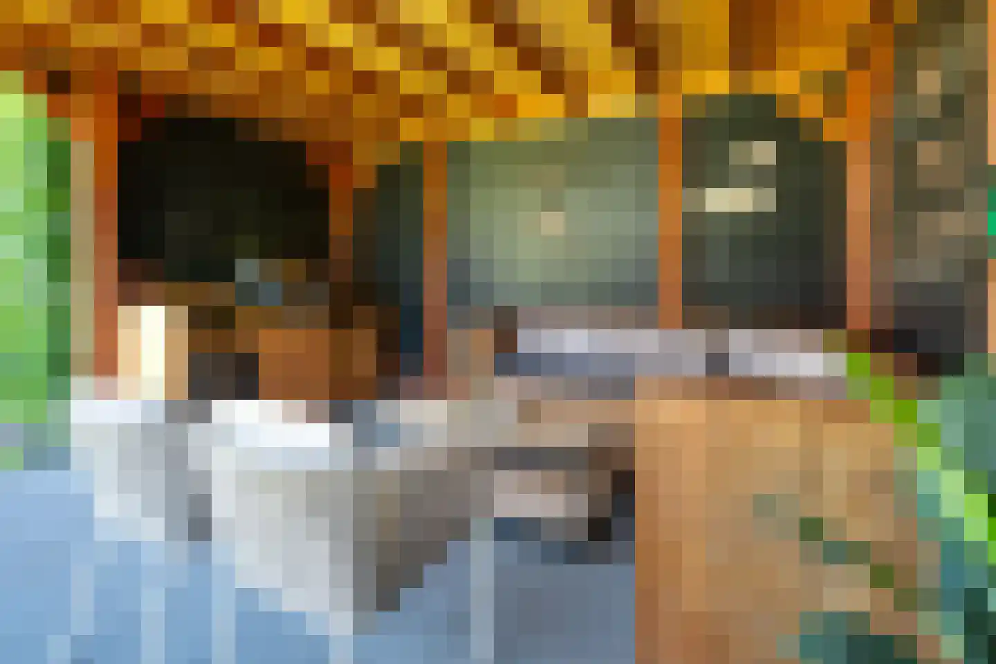 Sleedoornlaan 5 Bovensmilde thumbnail 30