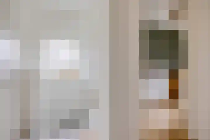 Sleedoornlaan 54 Zuidlaren thumbnail 12