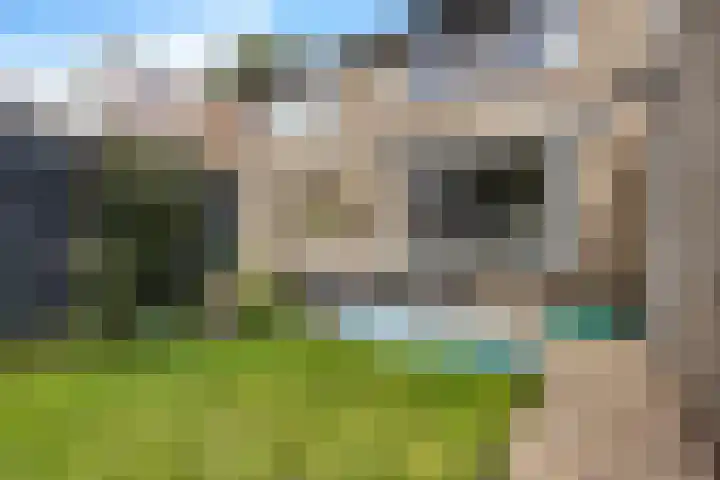 Sleedoornlaan 54 Zuidlaren thumbnail 21