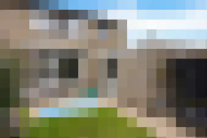 Sleedoornlaan 54 Zuidlaren thumbnail 22