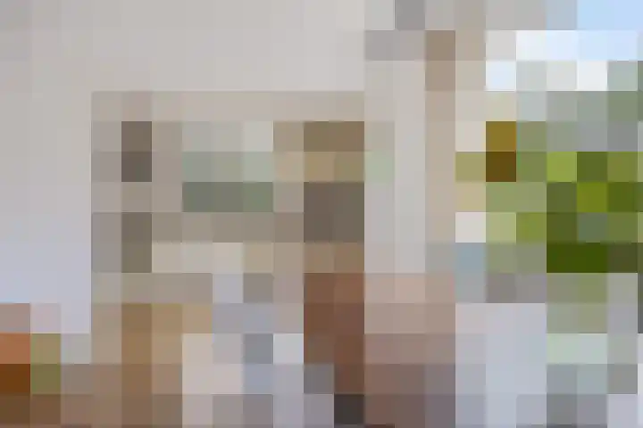 Sleedoornlaan 54 Zuidlaren thumbnail 7