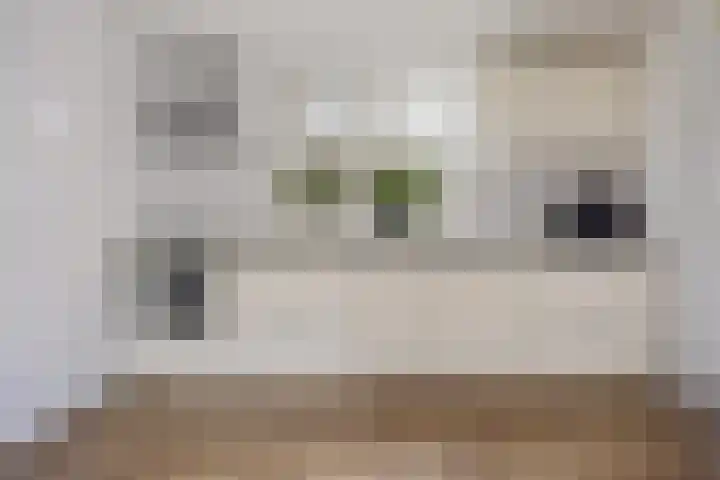 Sleedoornlaan 54 Zuidlaren thumbnail 8