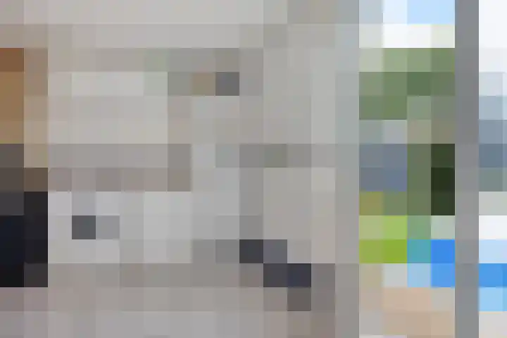 Sleedoornlaan 54 Zuidlaren thumbnail 9