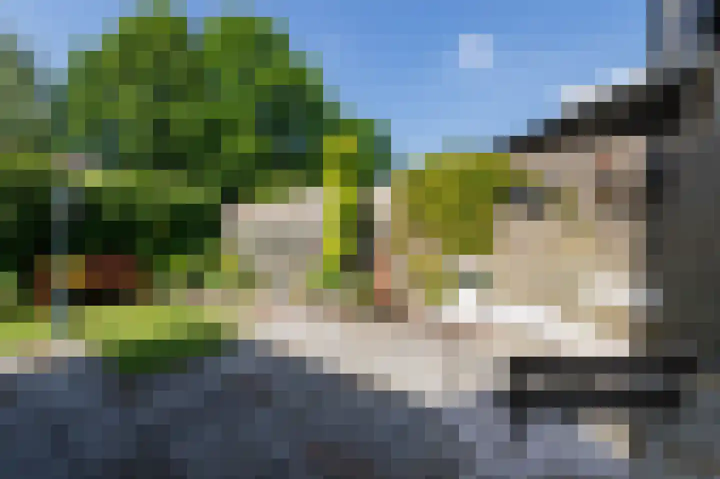 Sleedoornlaan 58 Zuidlaren thumbnail 26