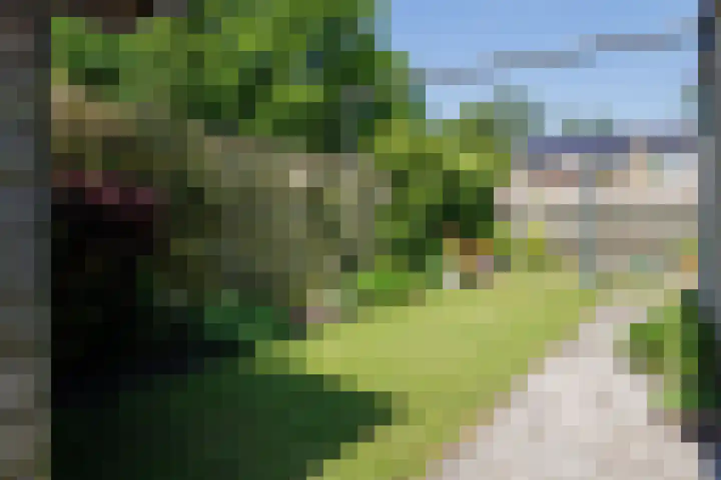 Sleedoornlaan 58 Zuidlaren thumbnail 31