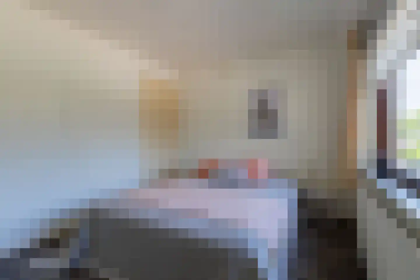 Sleedoornlaan 58 Zuidlaren thumbnail 49