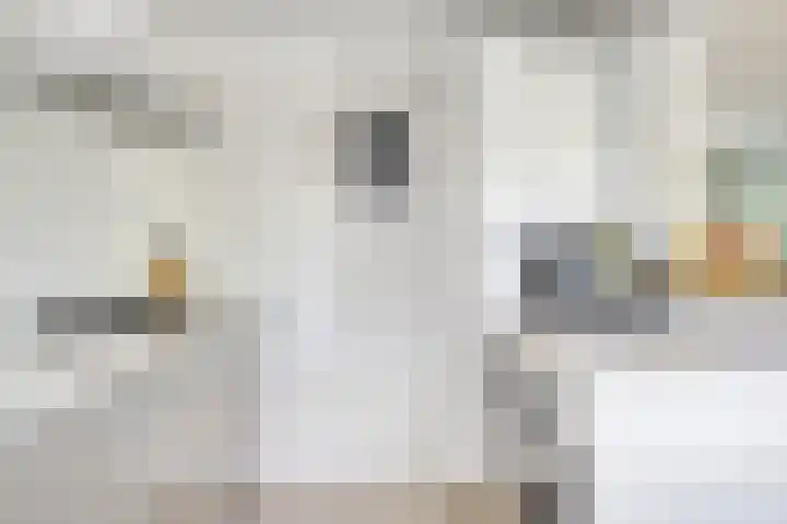 Sleedoornlaan 9 Krimpen aan den IJssel thumbnail 11