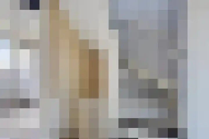 Sleedoornlaan 9 Krimpen aan den IJssel thumbnail 18