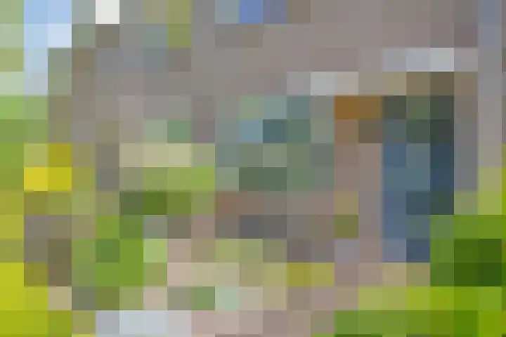 Sleedoornlaan 9 Krimpen aan den IJssel thumbnail 27
