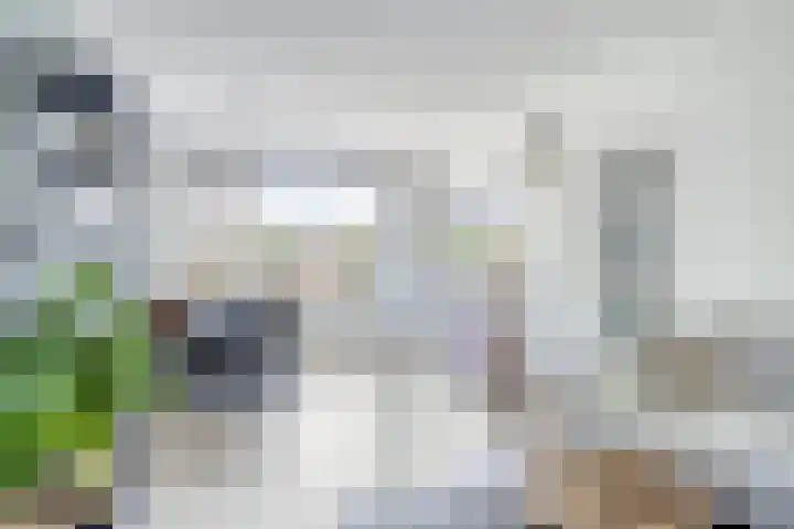 Sleedoornlaan 9 Krimpen aan den IJssel thumbnail 7