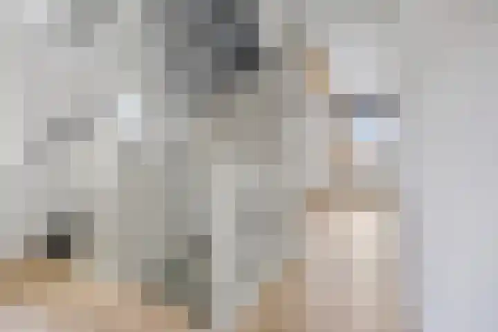 Sleedoornpage 23 Hoogeveen thumbnail 25