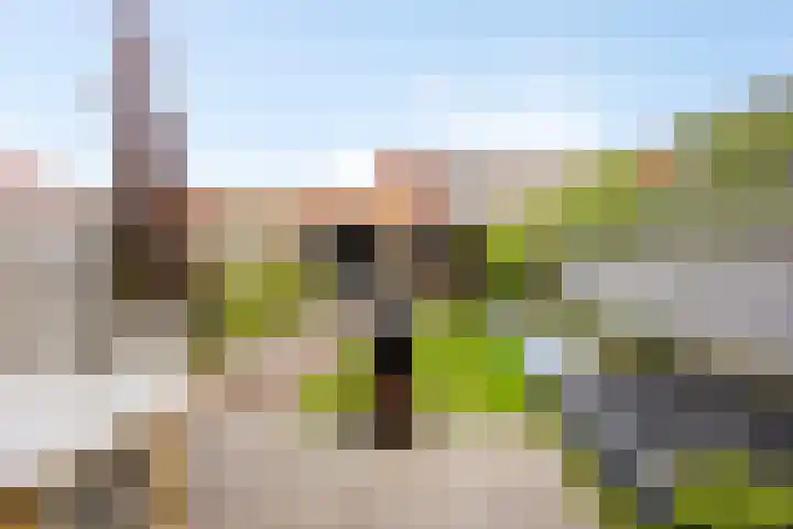Sleedoornpage 23 Hoogeveen thumbnail 29