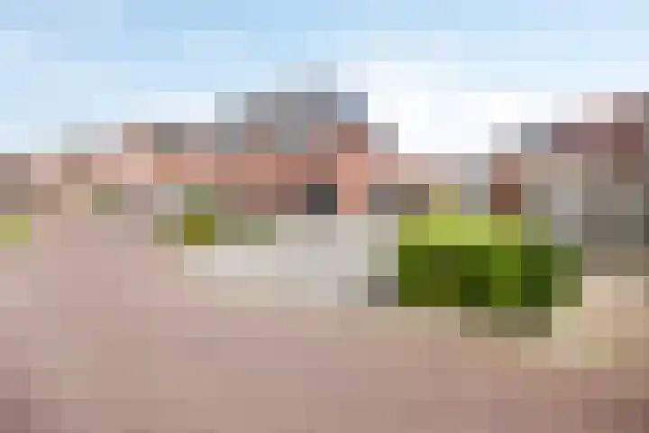 Sleedoornpage 23 Hoogeveen thumbnail 37