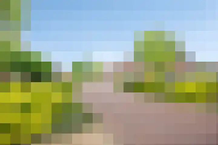 Sleedoornpage 23 Hoogeveen thumbnail 40