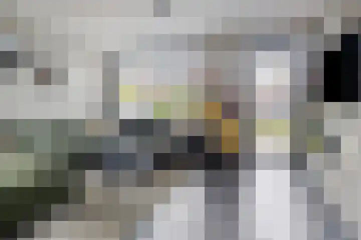 Sleedoornpage 23 Hoogeveen thumbnail 5
