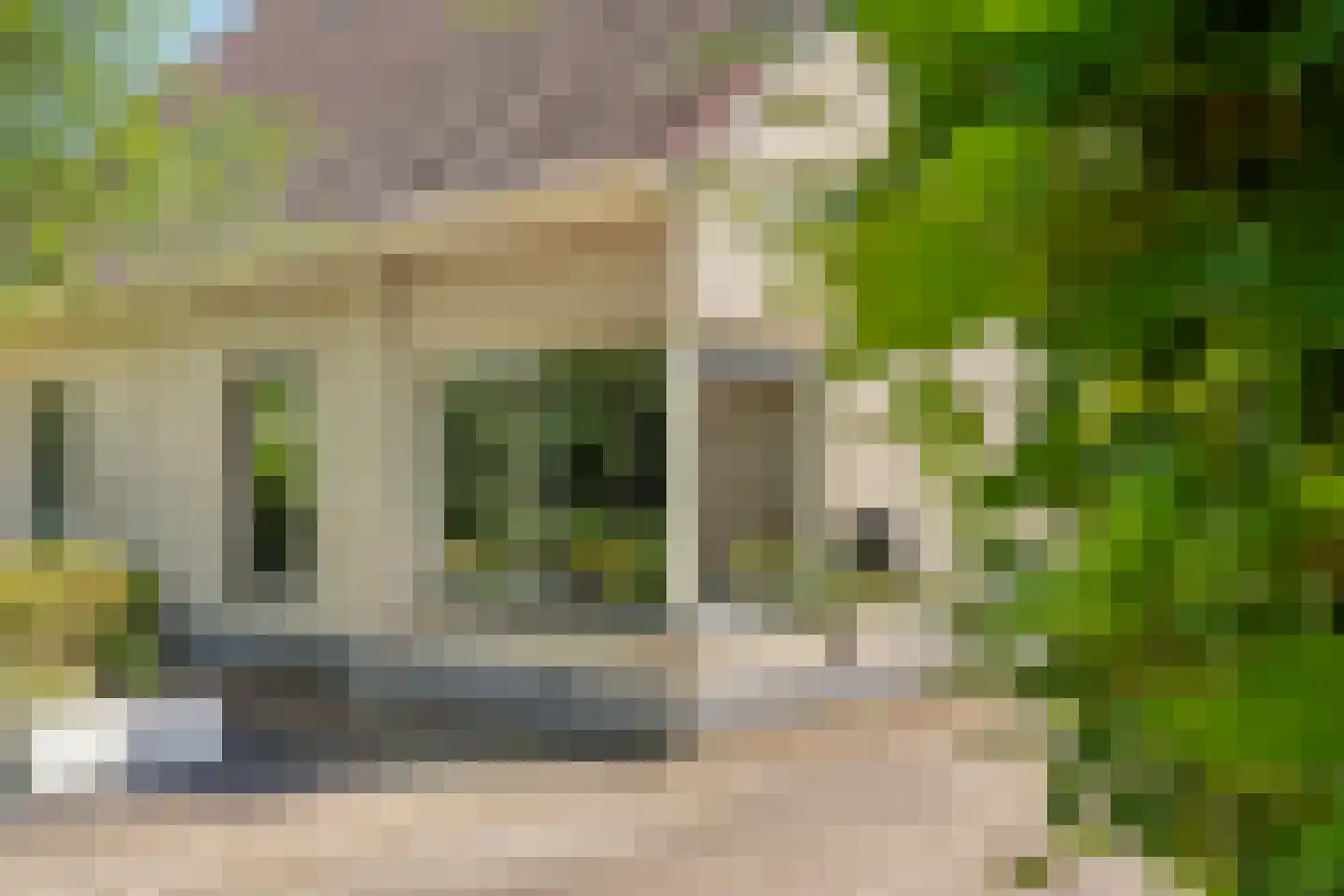 Sleedoornpage 26 Meppel thumbnail 11