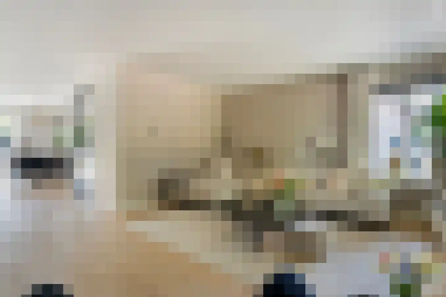 Sleedoornpage 26 Meppel thumbnail 17