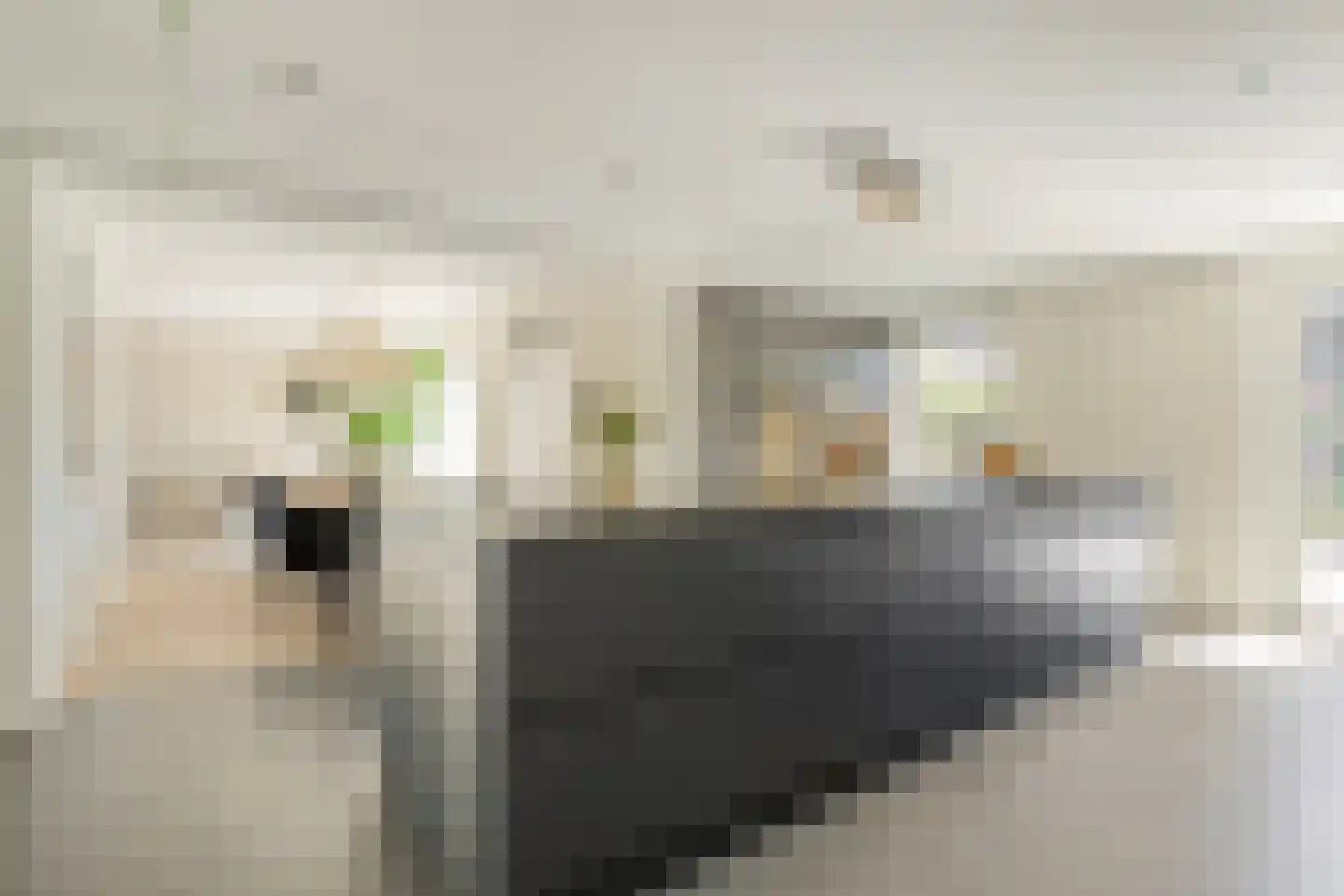 Sleedoornpage 26 Meppel thumbnail 23