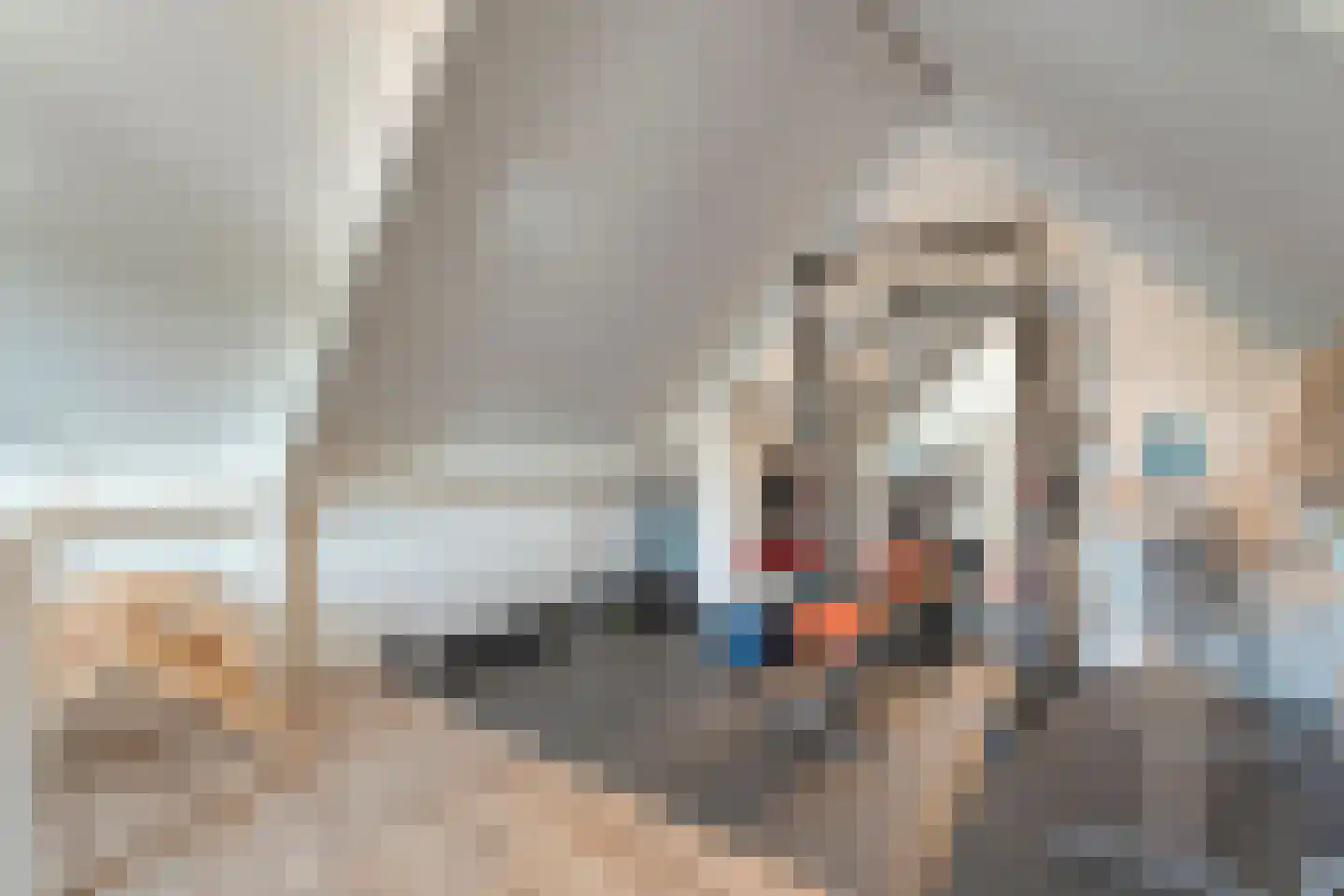 Sleedoornpage 26 Meppel thumbnail 40