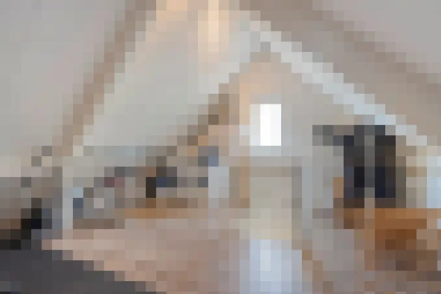 Sleedoornpage 26 Meppel thumbnail 41