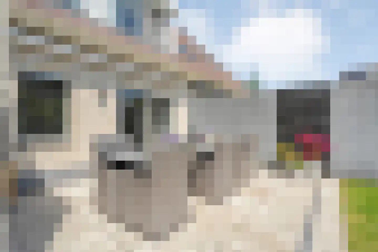 Sleedoornpage 26 Meppel thumbnail 42