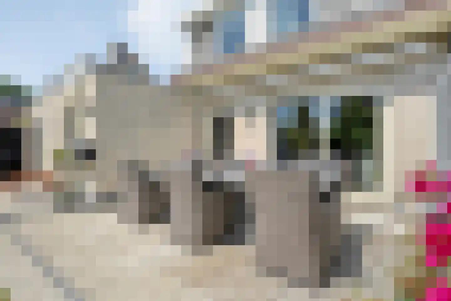 Sleedoornpage 26 Meppel thumbnail 44