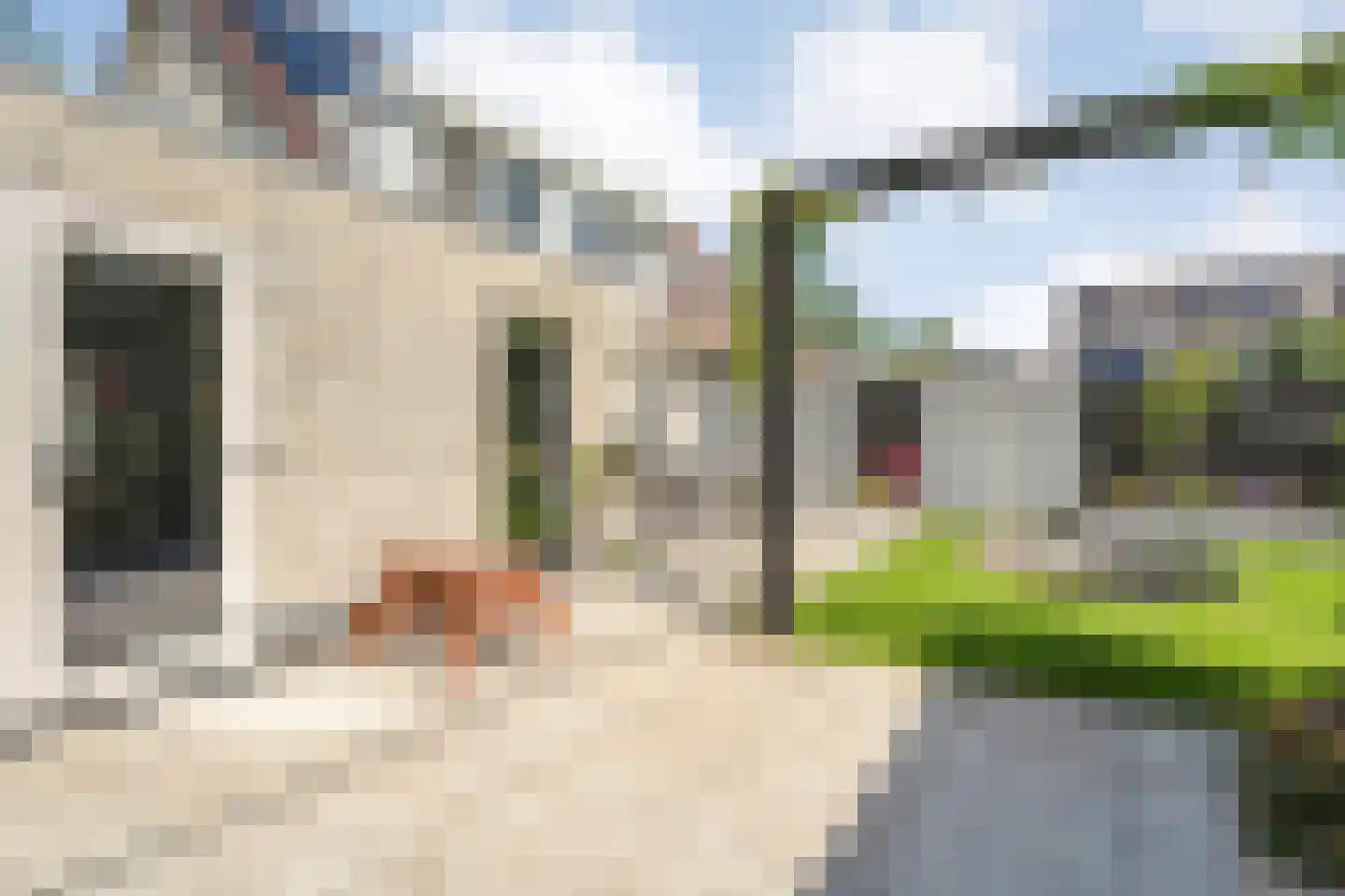 Sleedoornpage 26 Meppel thumbnail 47
