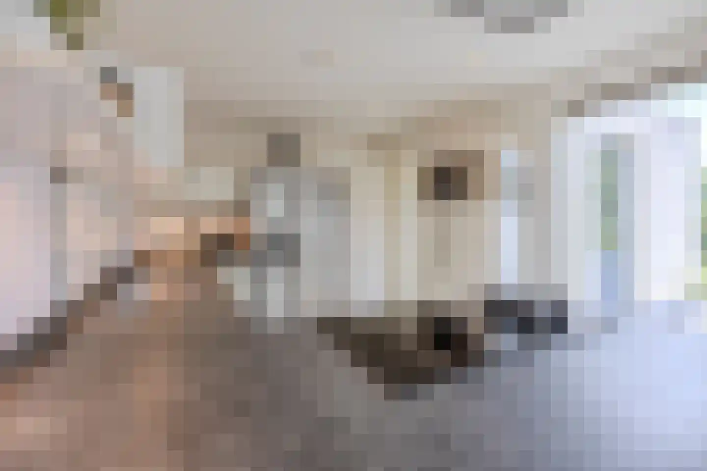 Sleedoornpage 28 Meppel thumbnail 17