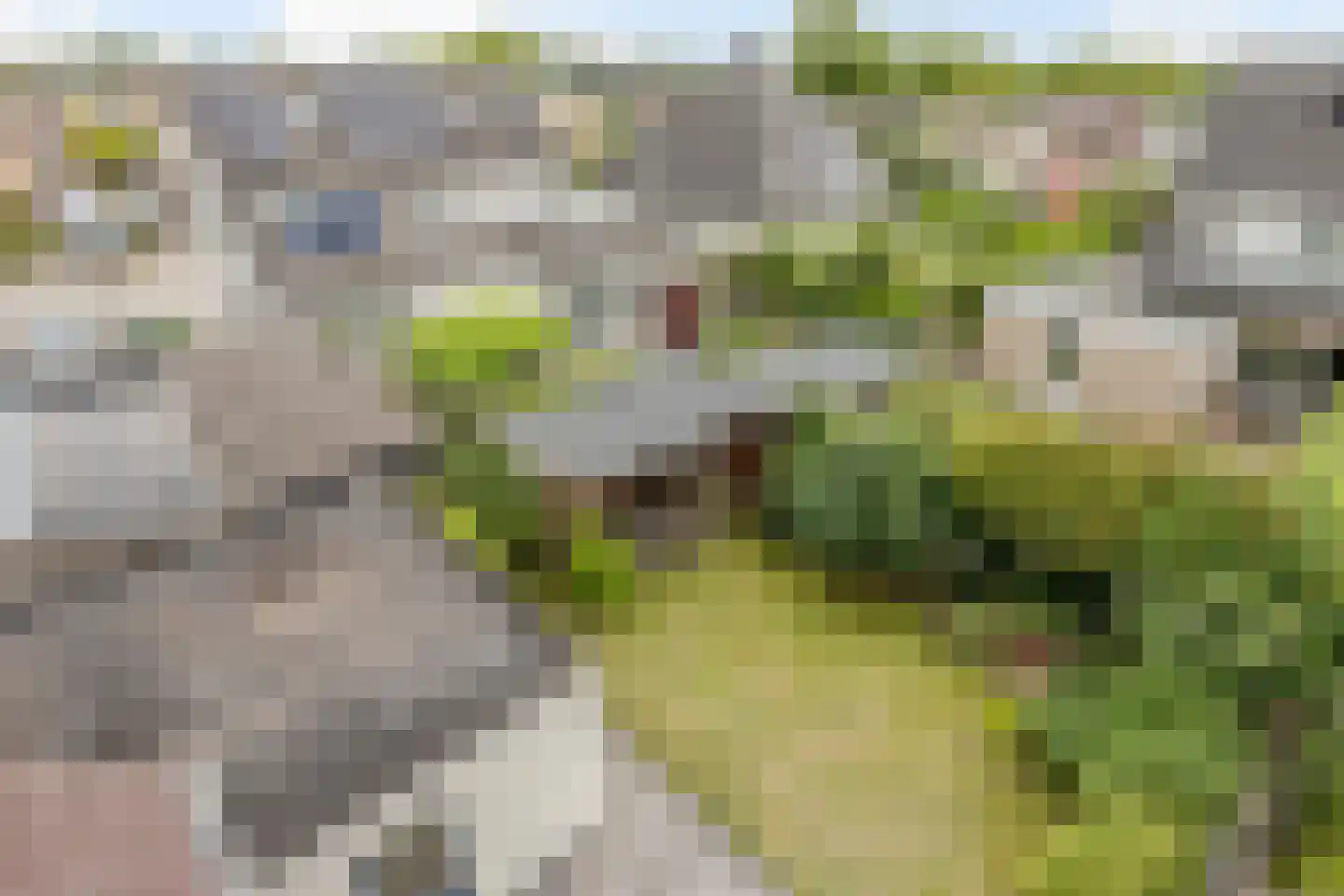 Sleedoornpage 28 Meppel thumbnail 40