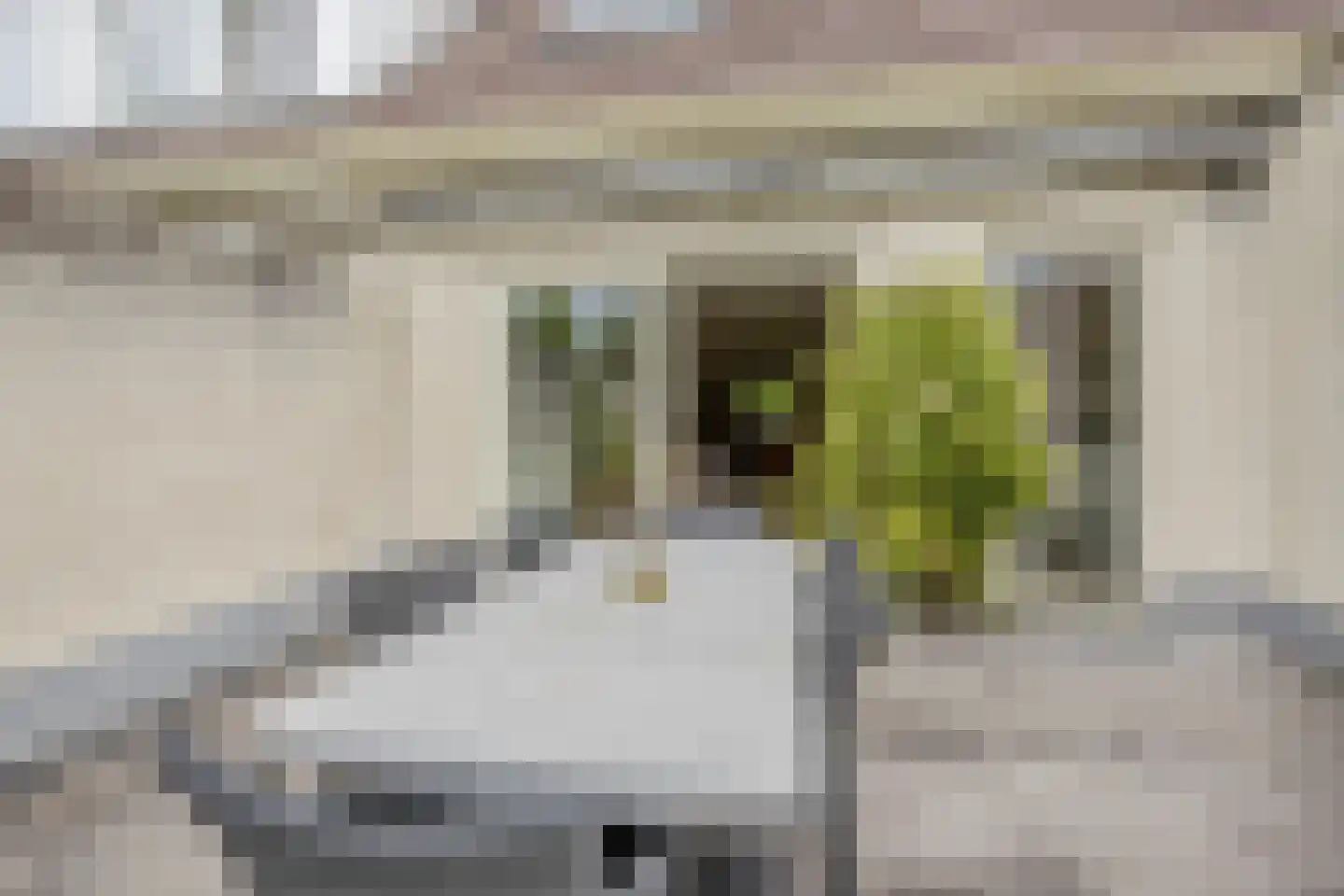 Sleedoornpage 28 Meppel thumbnail 41