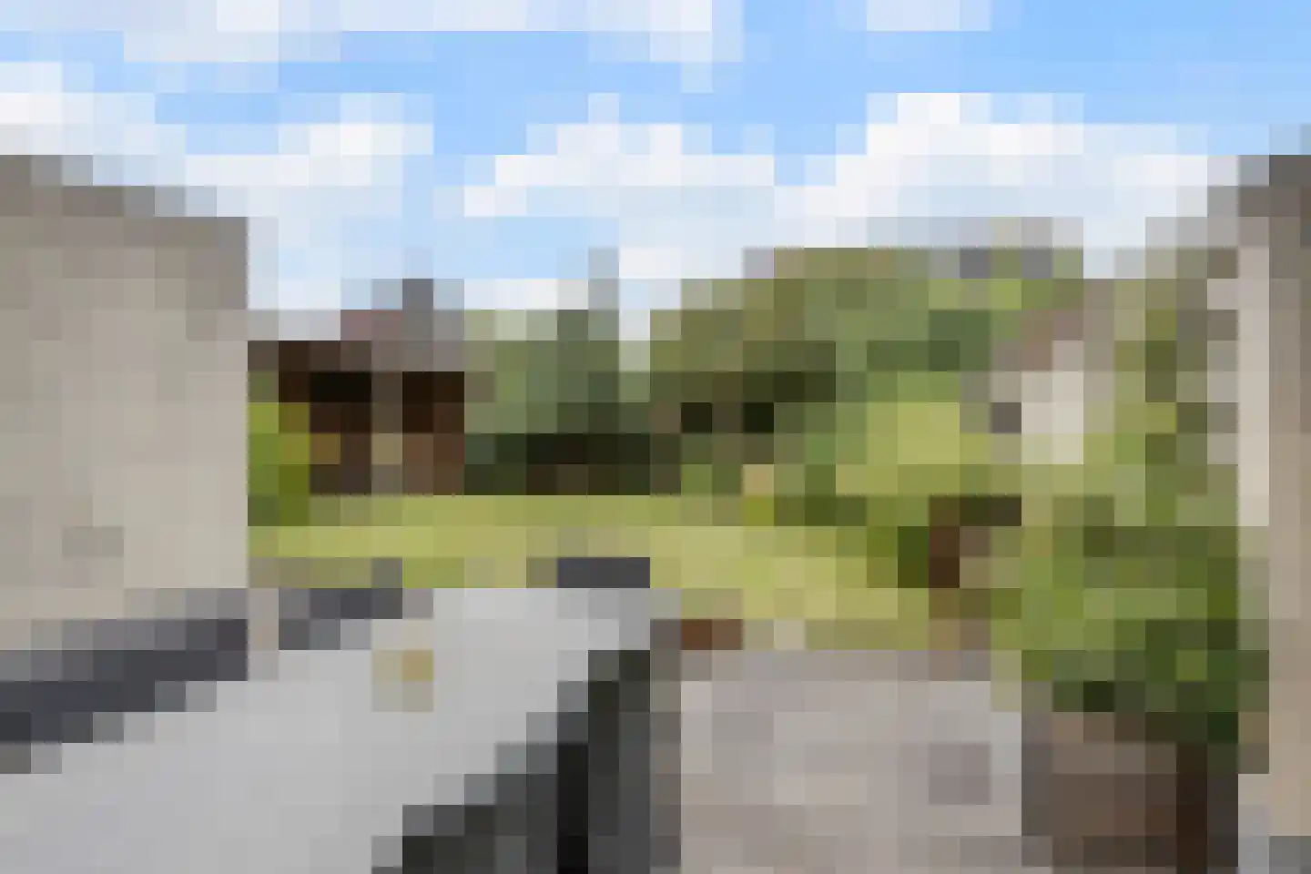 Sleedoornpage 28 Meppel thumbnail 44