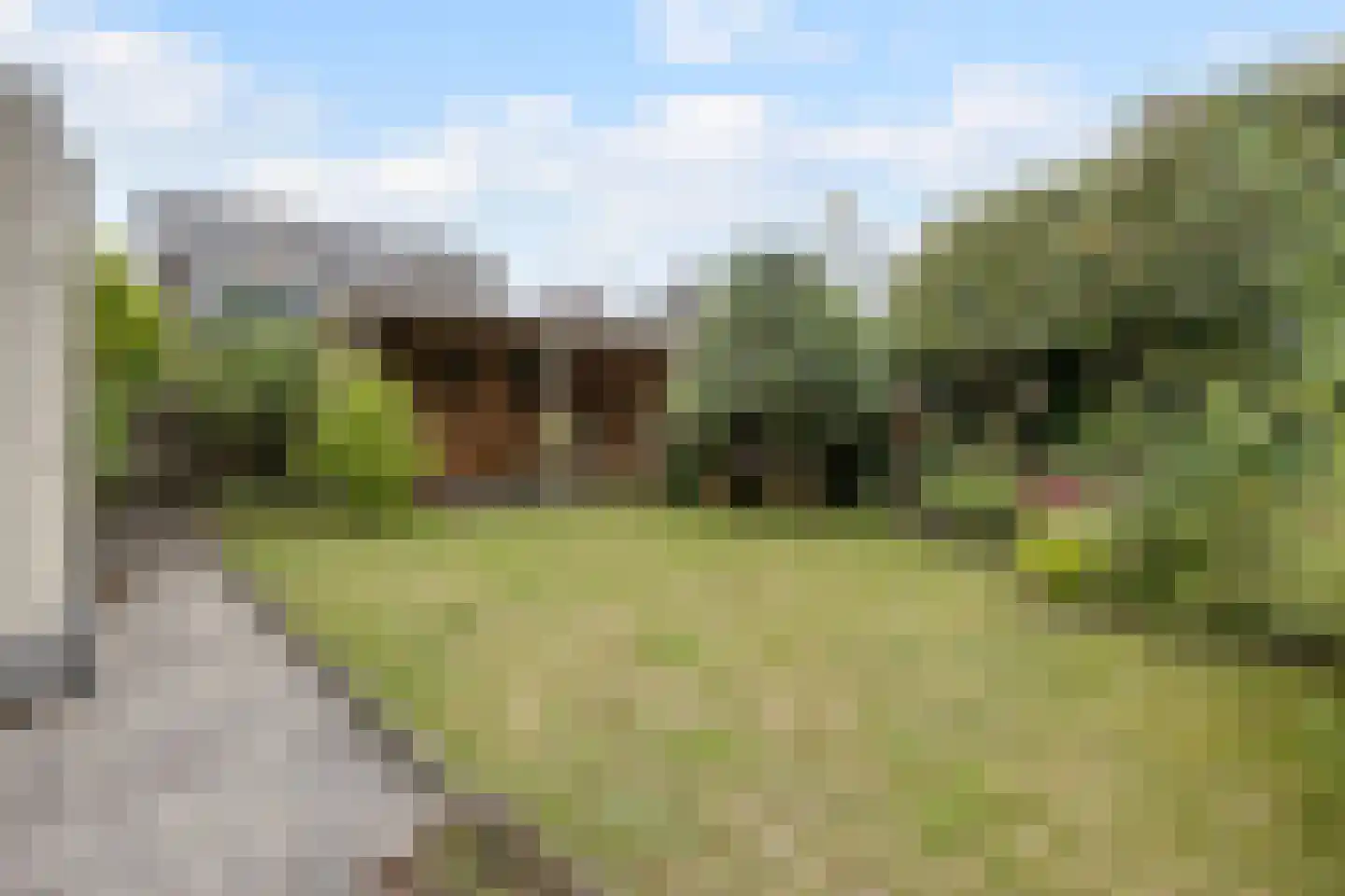 Sleedoornpage 28 Meppel thumbnail 45