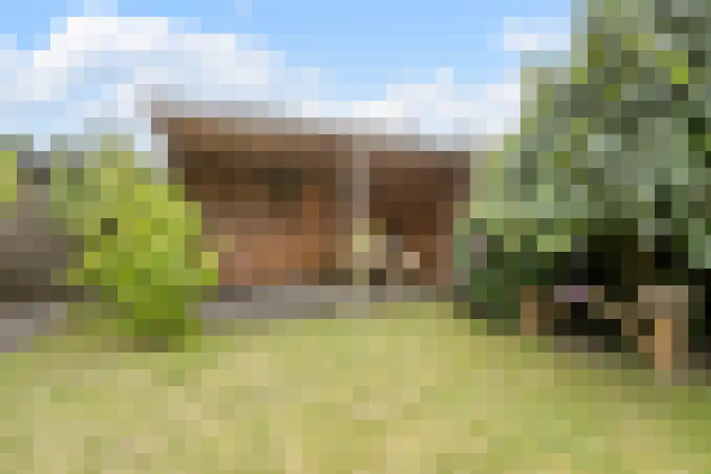 Sleedoornpage 28 Meppel thumbnail 46