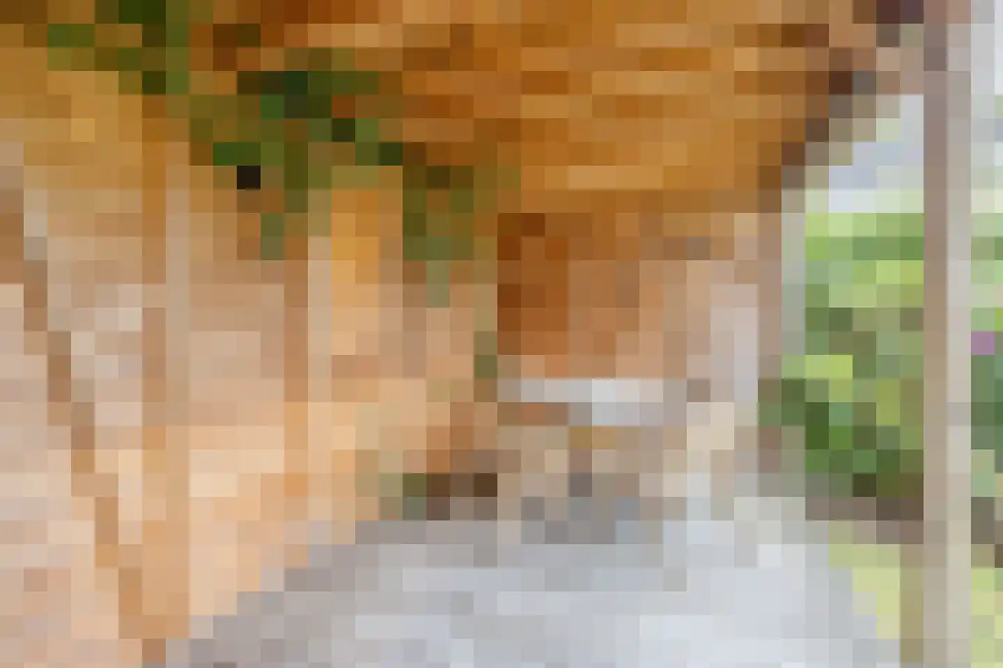 Sleedoornpage 28 Meppel thumbnail 47