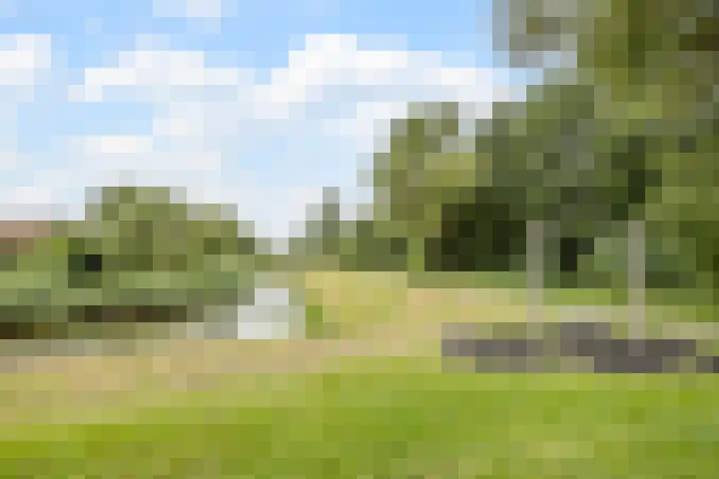 Sleedoornpage 28 Meppel thumbnail 49