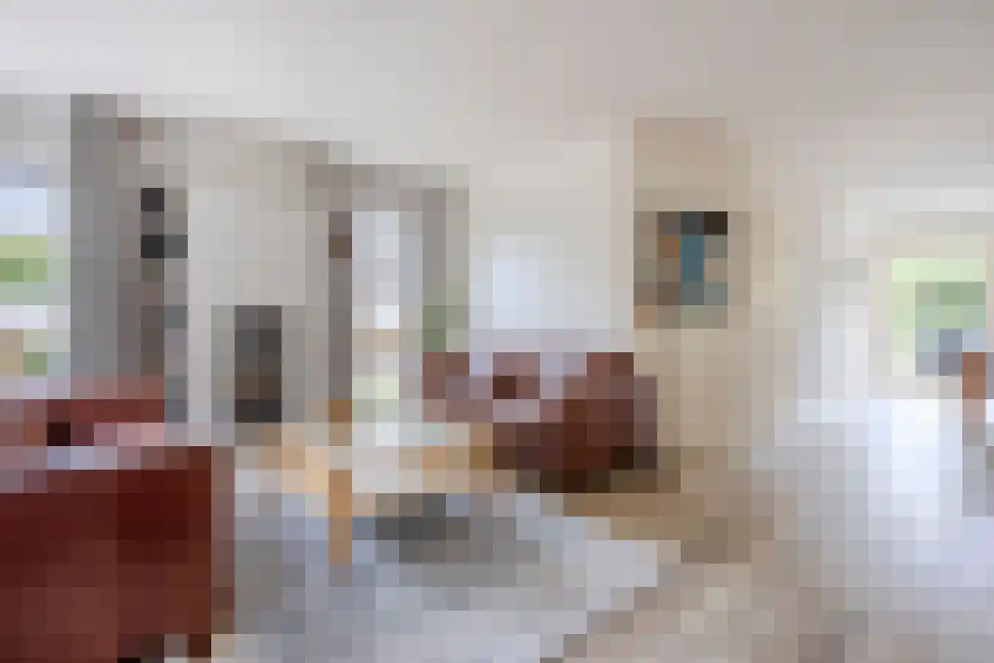 Sleedoornpage 28 Meppel thumbnail 8