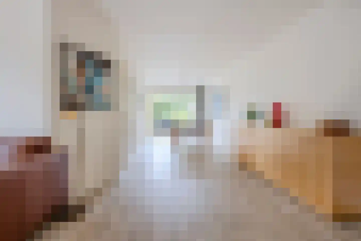 Sleedoornpage 28 Meppel thumbnail 9
