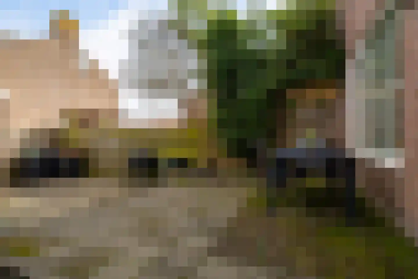 Sleedoornplantsoen 46 Schoorl thumbnail 34
