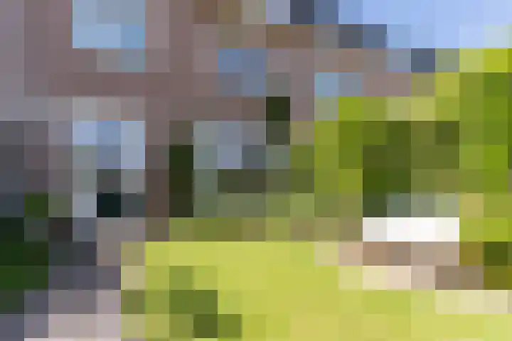 Sleedoornplantsoen 52 Schoorl thumbnail 33