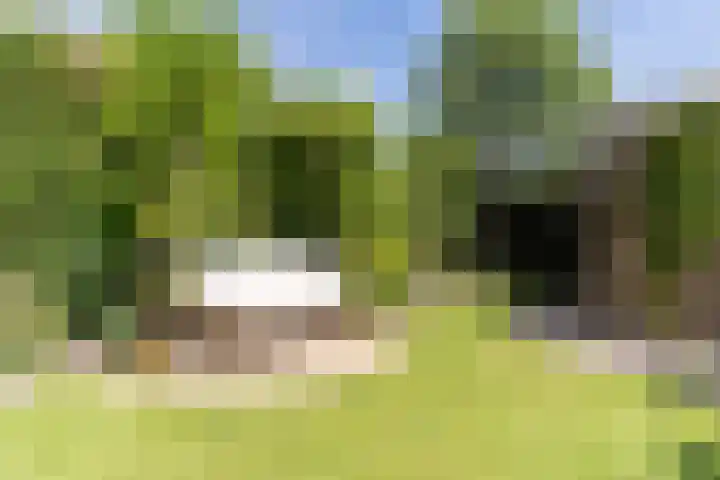 Sleedoornplantsoen 52 Schoorl thumbnail 34