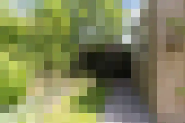 Sleedoornplantsoen 52 Schoorl thumbnail 35
