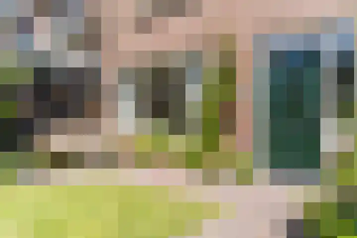 Sleedoornplantsoen 52 Schoorl thumbnail 37