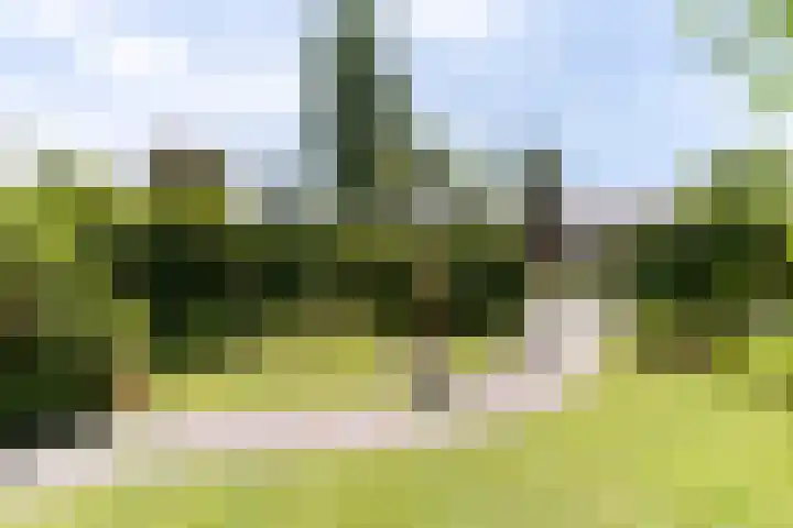 Sleedoornplantsoen 52 Schoorl thumbnail 38