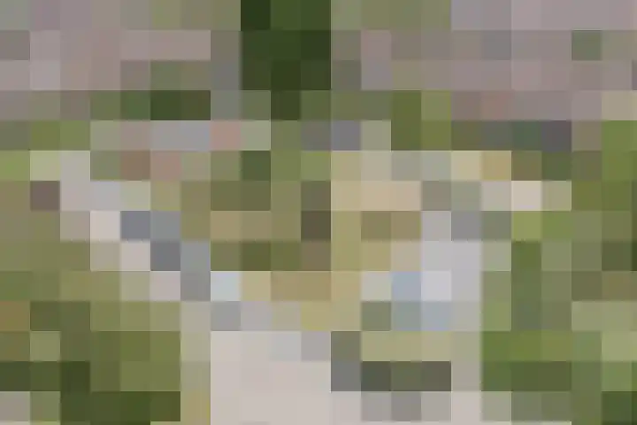 Sleedoornplantsoen 52 Schoorl thumbnail 39