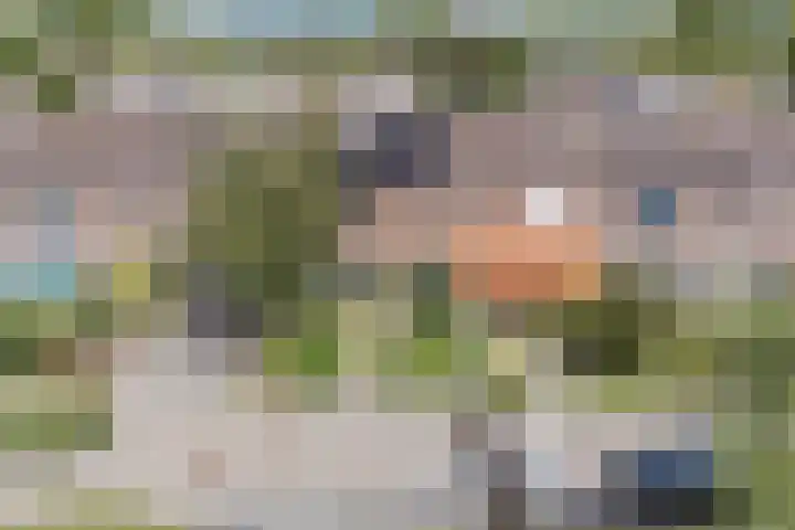Sleedoornplantsoen 52 Schoorl thumbnail 4