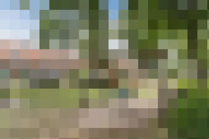 Sleedoornplantsoen 52 Schoorl thumbnail 40