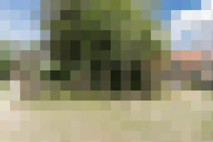 Sleedoornplantsoen 52 Schoorl thumbnail 41