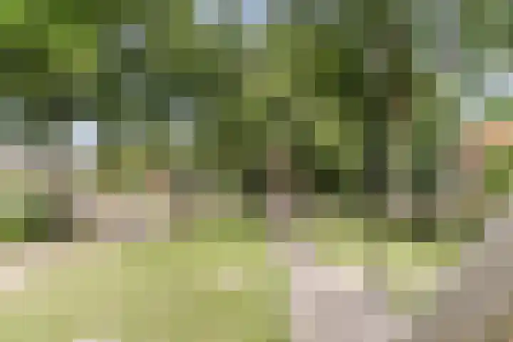 Sleedoornplantsoen 52 Schoorl thumbnail 42