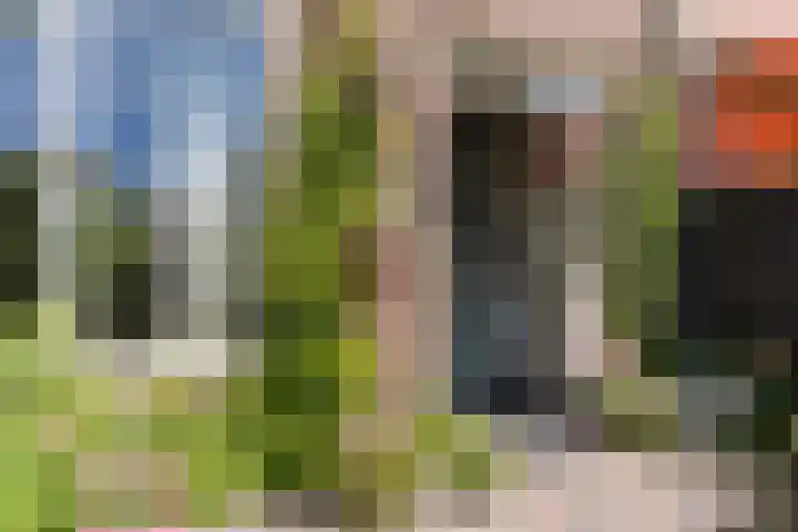 Sleedoornplantsoen 52 Schoorl thumbnail 6