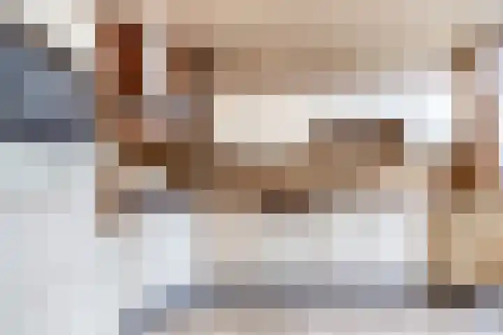 Sleedoornsingel 5 Gouda thumbnail 13